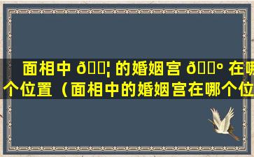 面相中 🐦 的婚姻宫 🐺 在哪个位置（面相中的婚姻宫在哪个位置好）